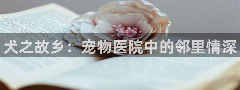 天辰娱乐官方登录下载