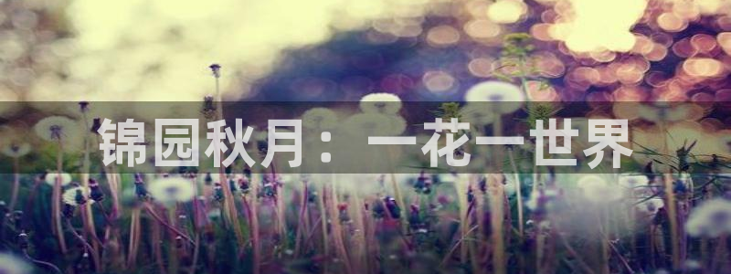 天辰 娱乐 注册