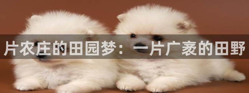 天辰娱乐登陆平台